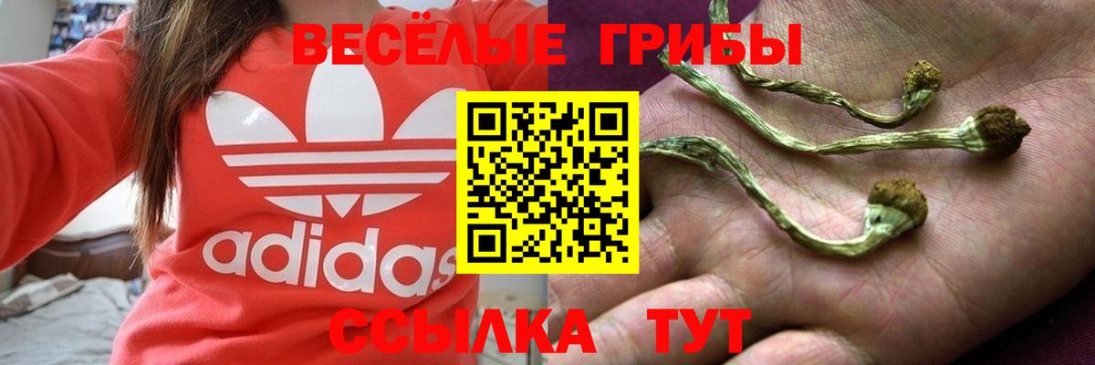 Дагестанские Огни  цены наркотик  Вход с VPN  Псилоцибиновые грибы прущие грибы 